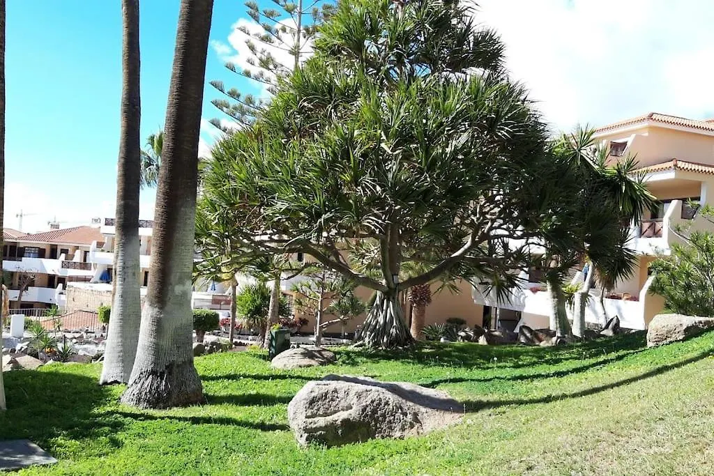Apartment With Pool And Gardens Near The Coast San Miguel de Abona