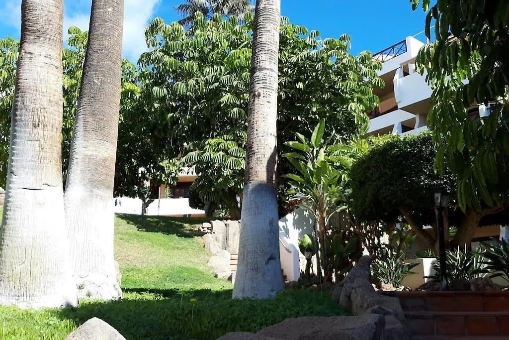 Apartment With Pool And Gardens Near The Coast San Miguel de Abona Spain